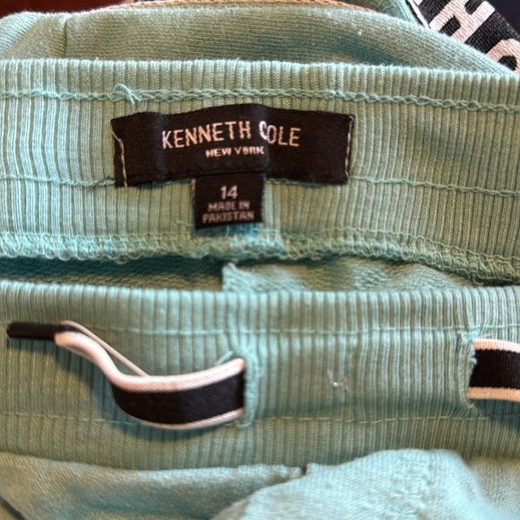 KENNETH  COLE Gray and green Boy’s Shorts, Size 14 - Picture 2 of 8
